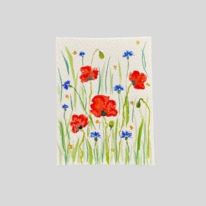 Card poppys and cornflowers